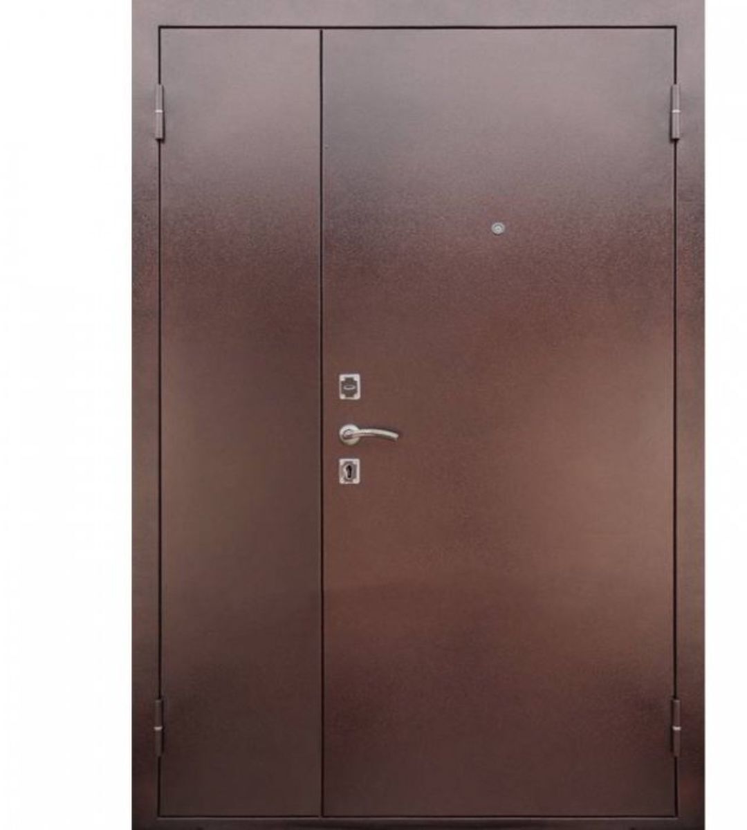 Железная тамбурная дверь. Дверь металлическая двухстворчатая 2050 x 1250 мм. Входная дверь двустворчатая металл/металл. Дверь металлическая двухстворчатая 1250x2050. Дверь железная медный антик входная.