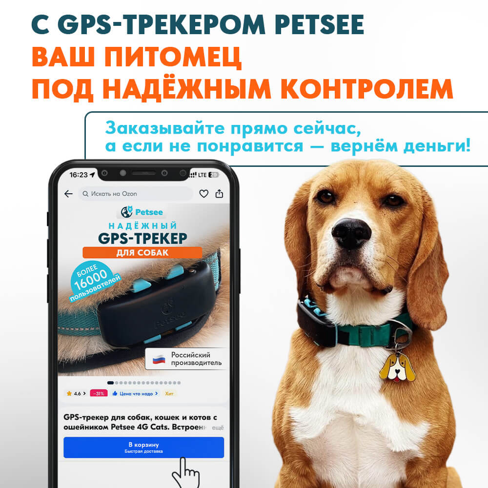 GPS-ошейник (трекер) для собак Petsee купить на официальном сайте, цена,  отзывы