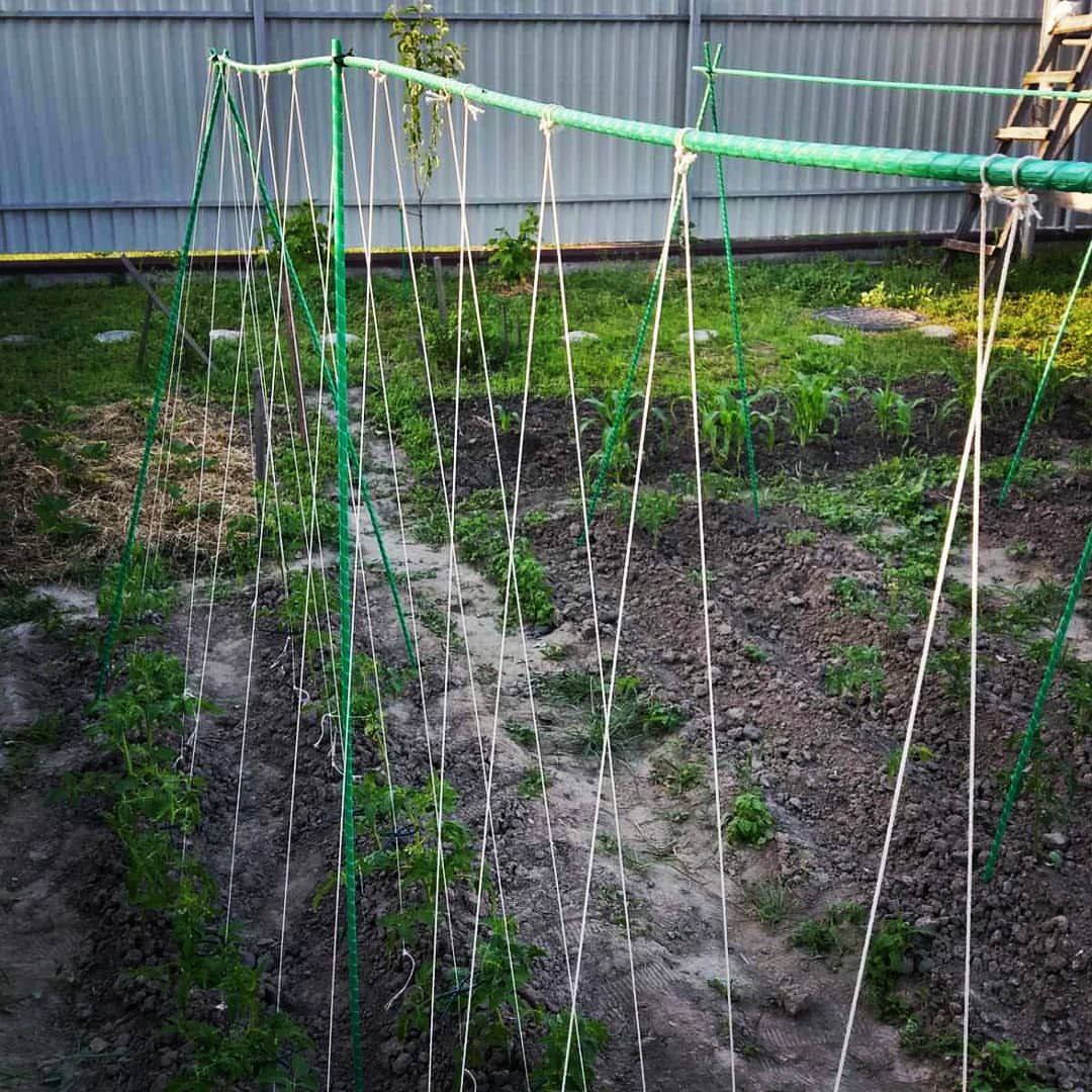 Зелена опора для рослин Kings