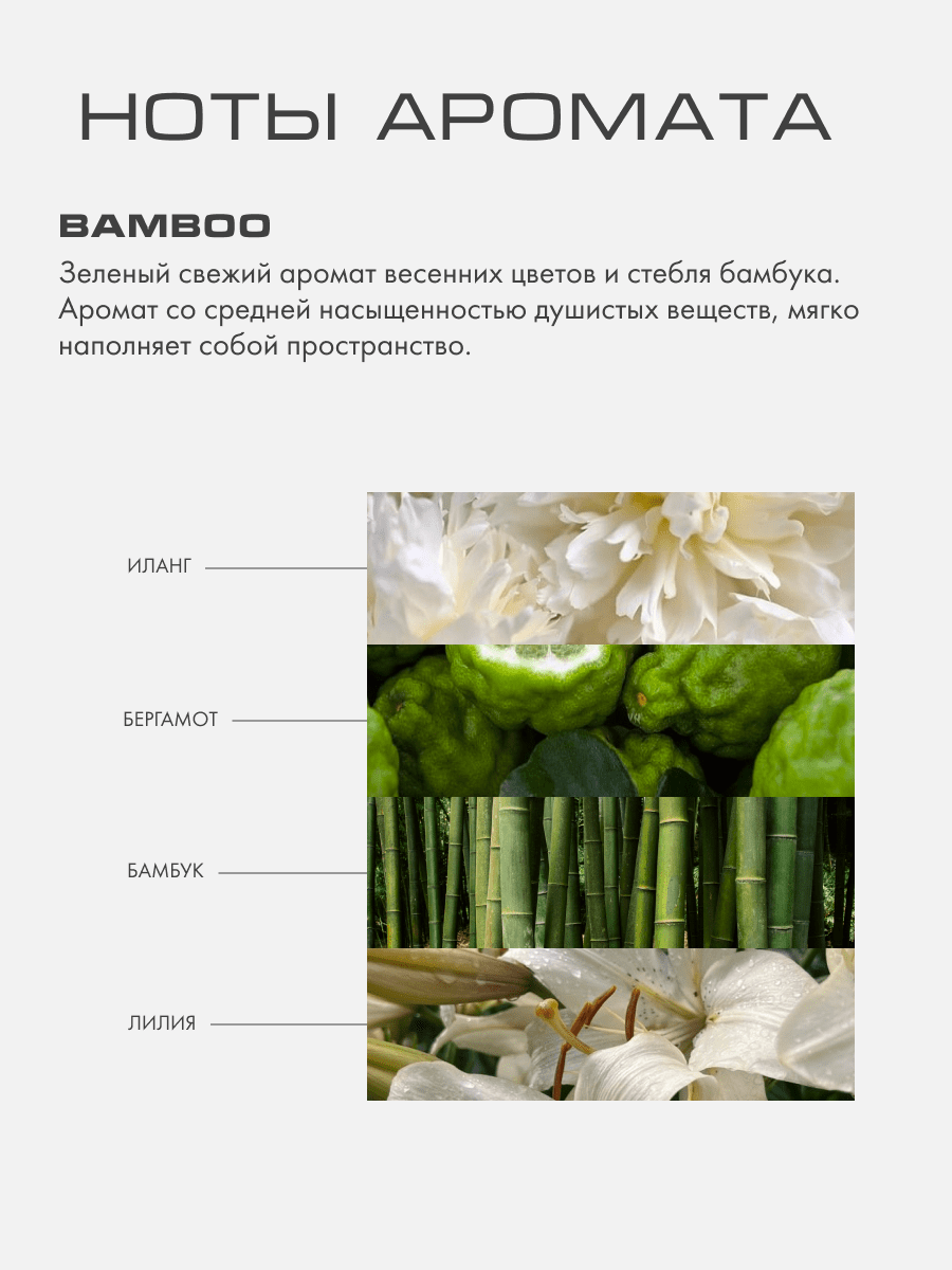 BAMBOO - Аромадиффузор