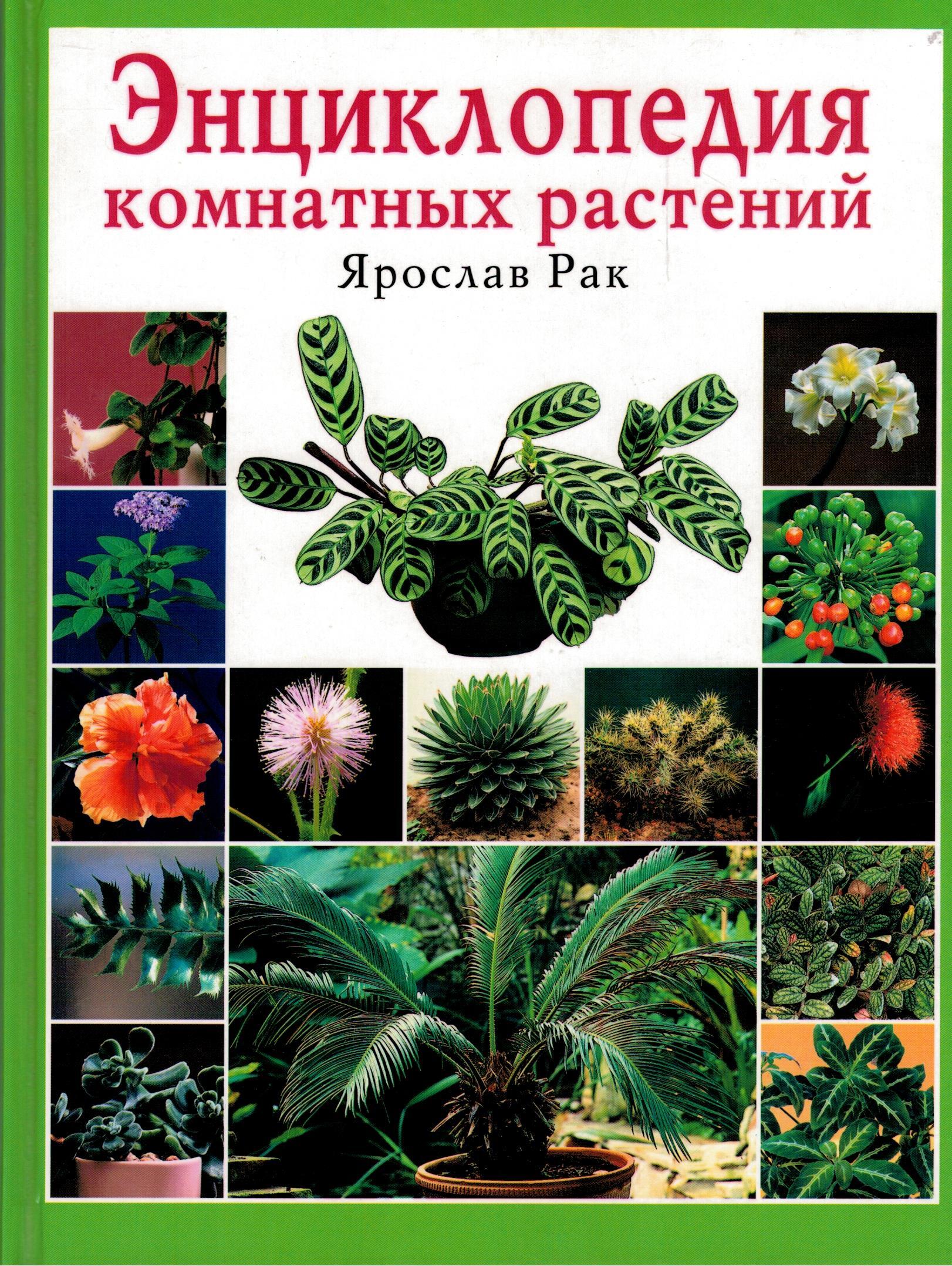 Комнатные растения учебник. Энциклопедия комнатных растений. Цветы комнатные энциклопедия. Книги о комнатных растениях. Растения. Энциклопедия.