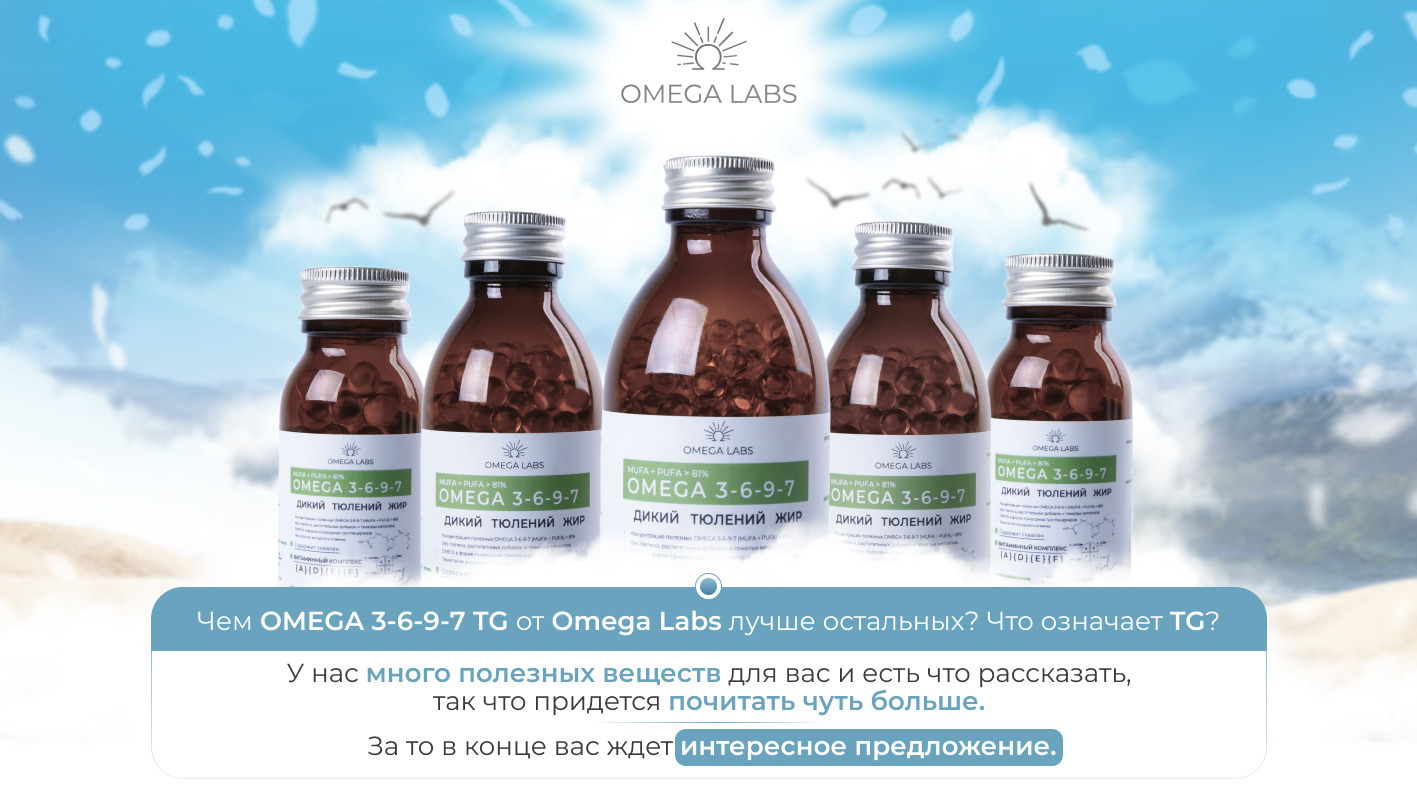 Текстовое описание изображения