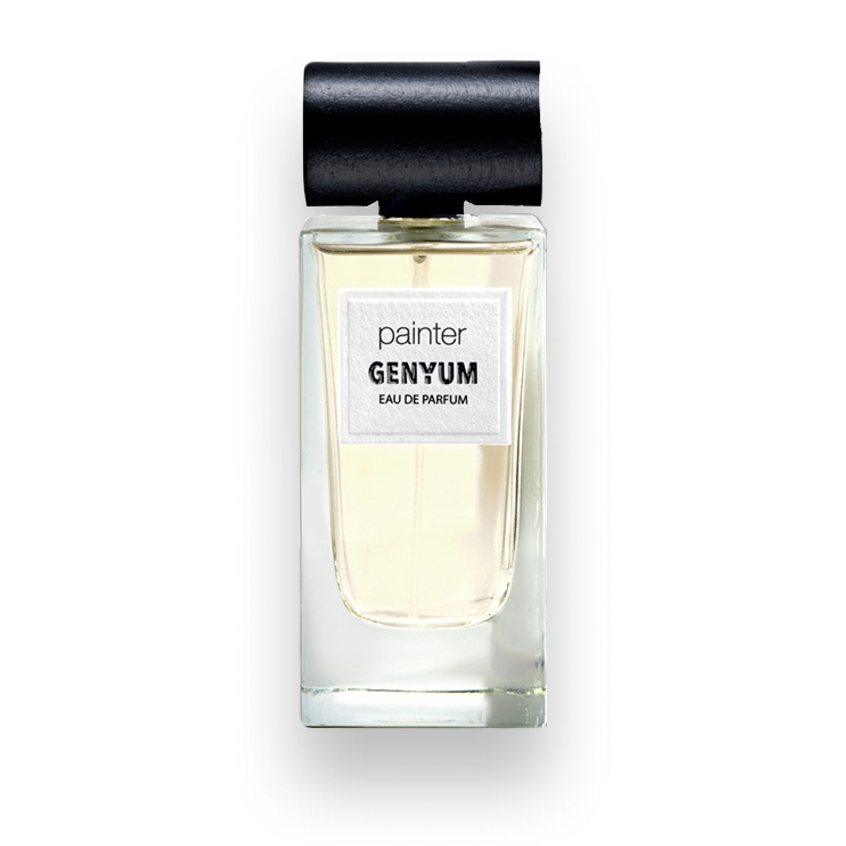 Genyum Painter