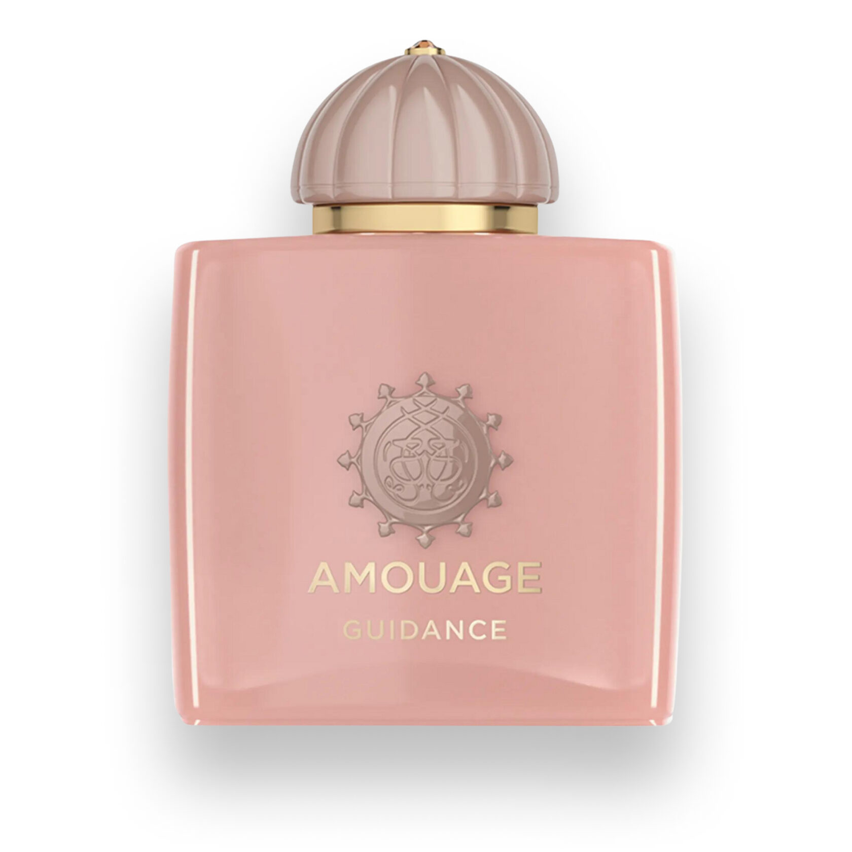 Amouage Guidance