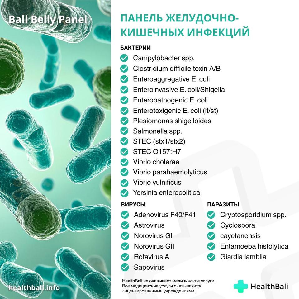 Панель желудочно-кишечных инфекций – Состав программы