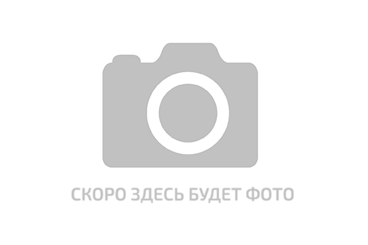 Разукрашки Пион Для Детей