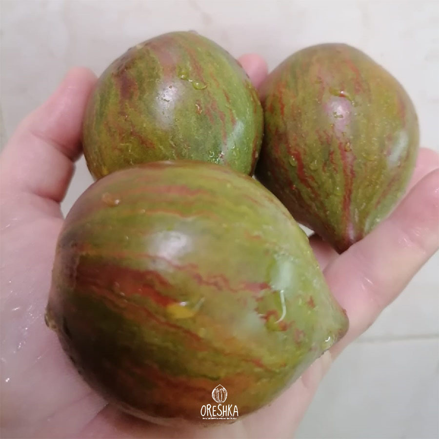 Seeds of Tomato ⁠Emerald caramel Elena (solanum lycopersicum) — 10 pcs