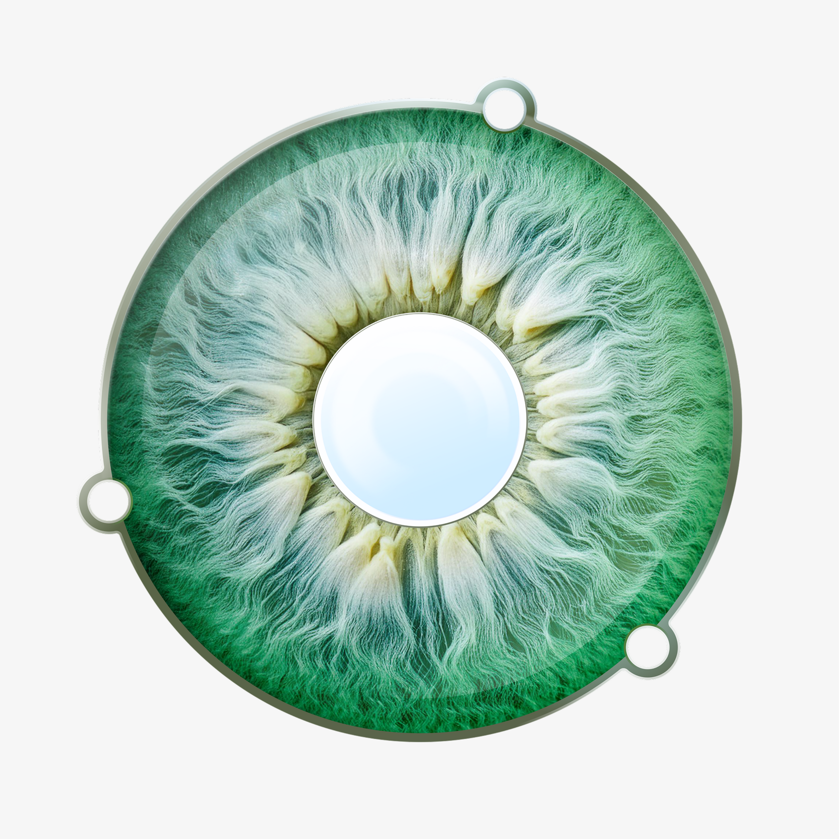 Iris Prosthesis
