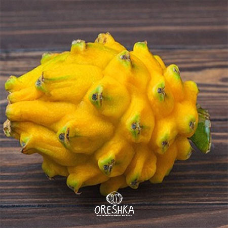 Seeds of Dragon fruit yellow (Hylocereus megalanthus) — 10 pcs