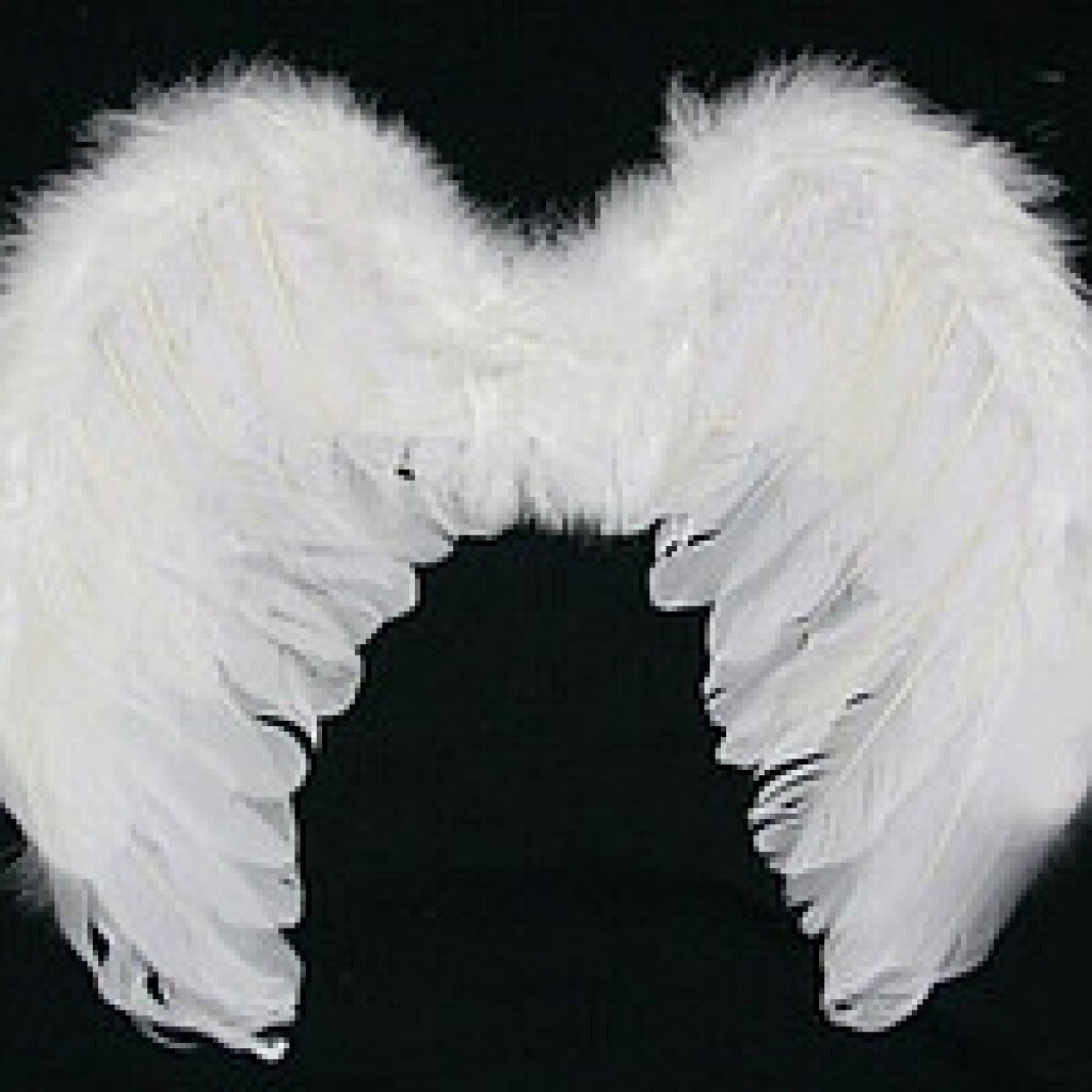 Крылья купить недорого. Белые Крылья ангела (71х45 см). Крылья ангела костюм. Крылья ангелочка. Крылья из перьев.