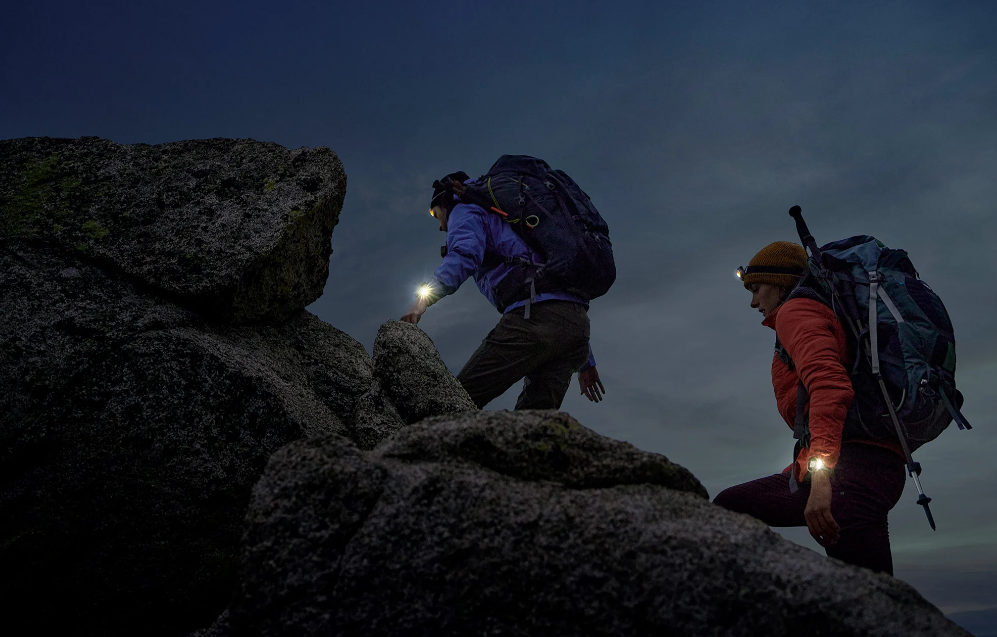 часы garmin купить