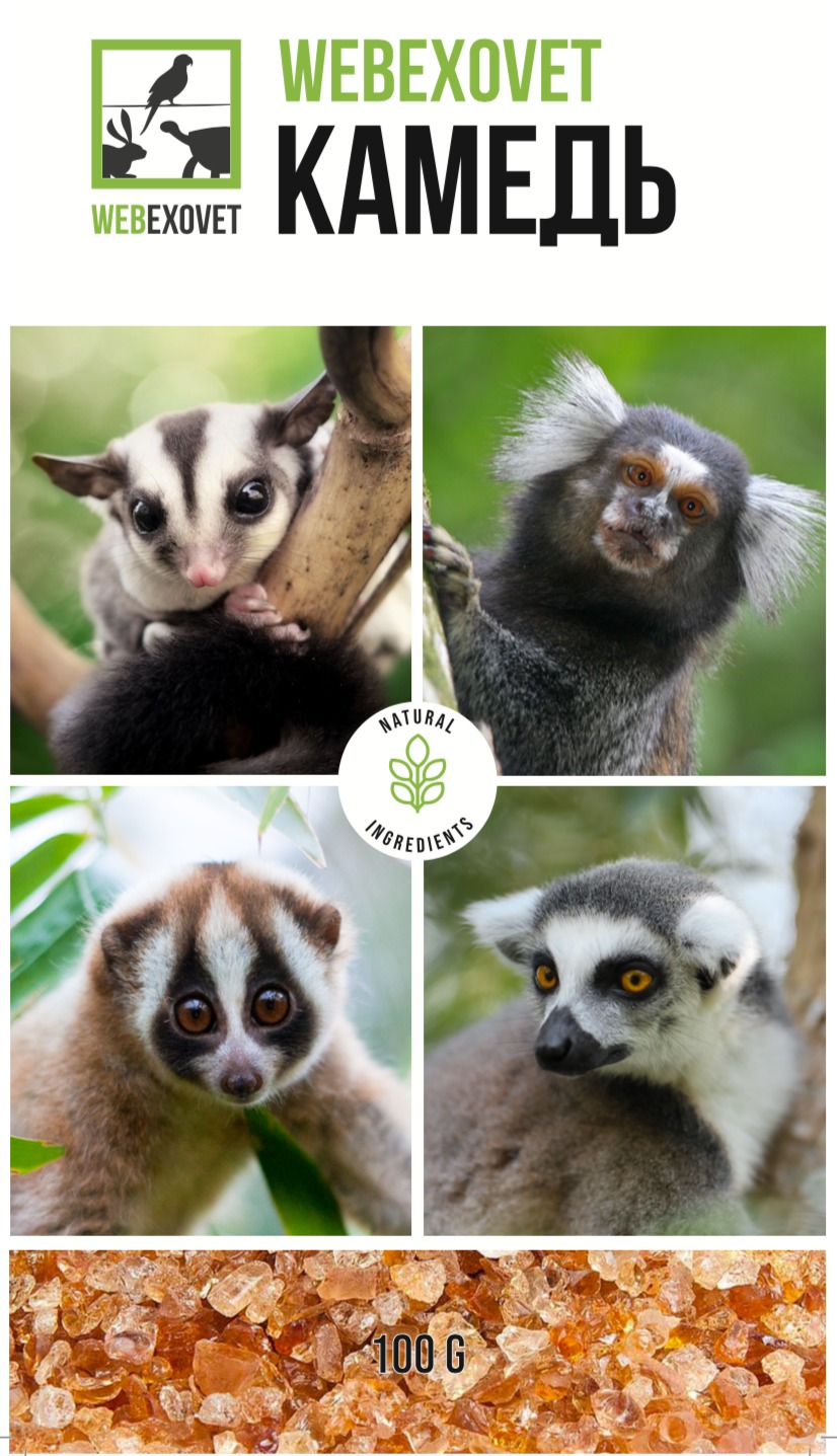 Камедь, 100 гр.