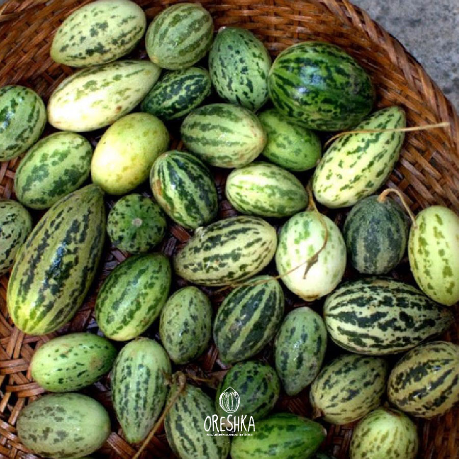 Seeds of Indian wild cucumber-melon, Kachri (Cucumis pubescens) — 20 pcs