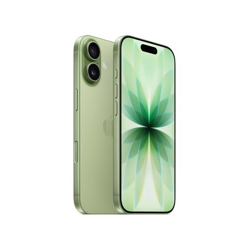 Apple iPhone 17 512Gb Sage | Айфоня55.рф