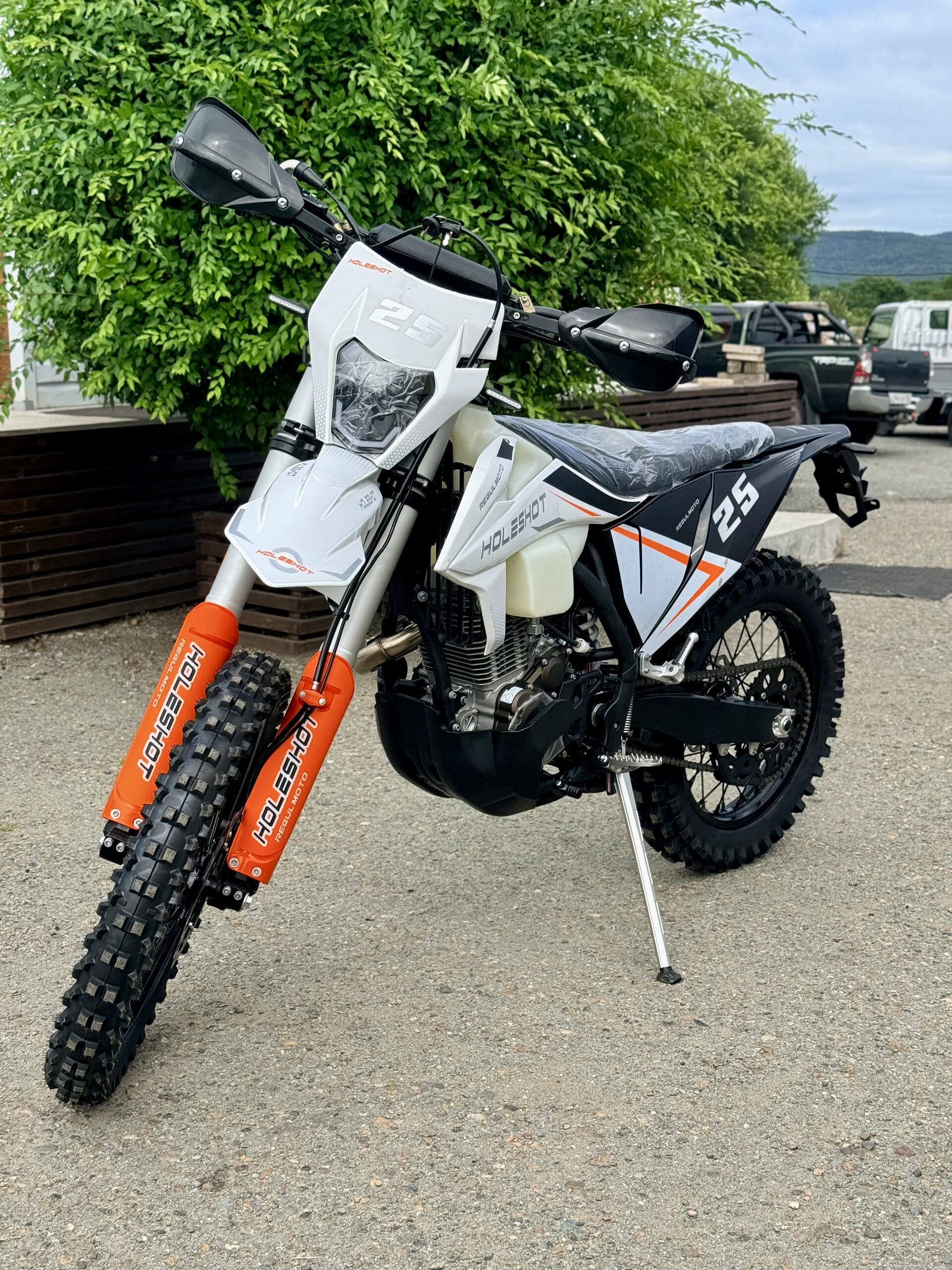 Мотоцикл Regulmoto Holeshot PRO 350 — фото 1