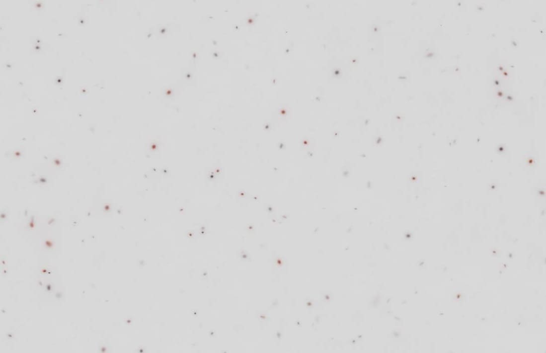 Кварцевый агломерат Jade White