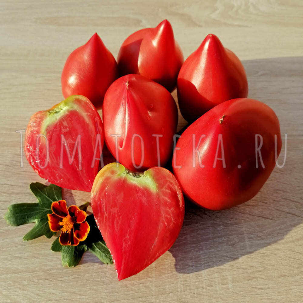 Португальское красное сердце Шерила / Sheryl’s Portuguesse Red Heart