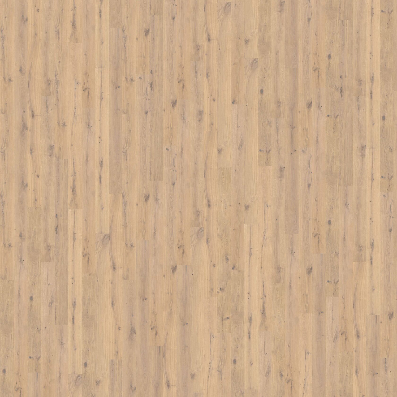 Паркет Haro Plank 1-Strip 180 4000 Series Дуб пуро белый саваж браш 4V nL+
