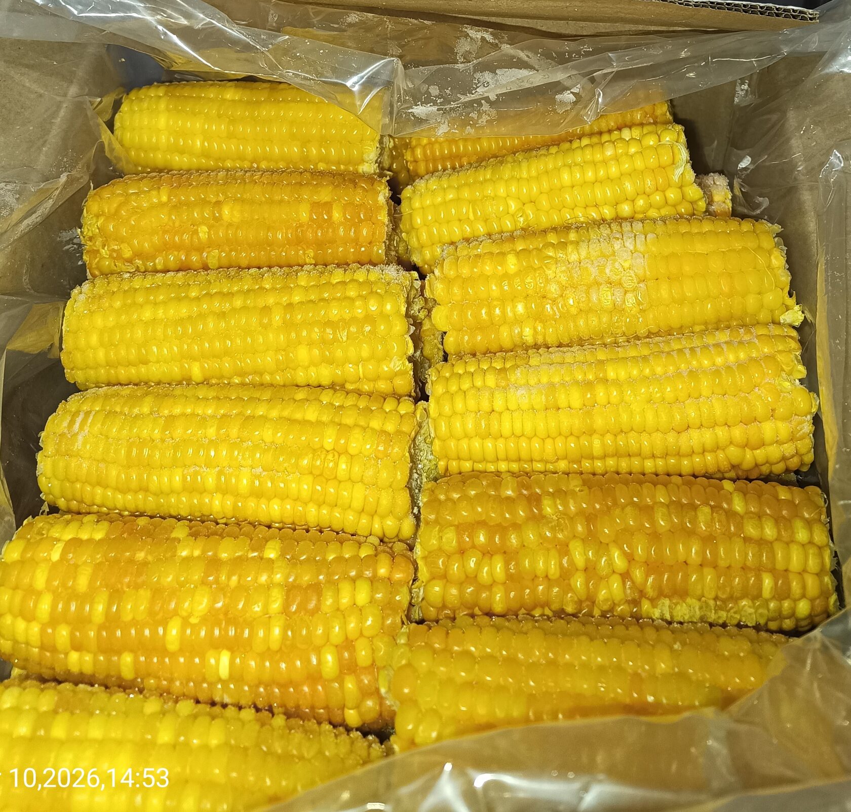 Замороженная кукуруза в початках оптом — Часар