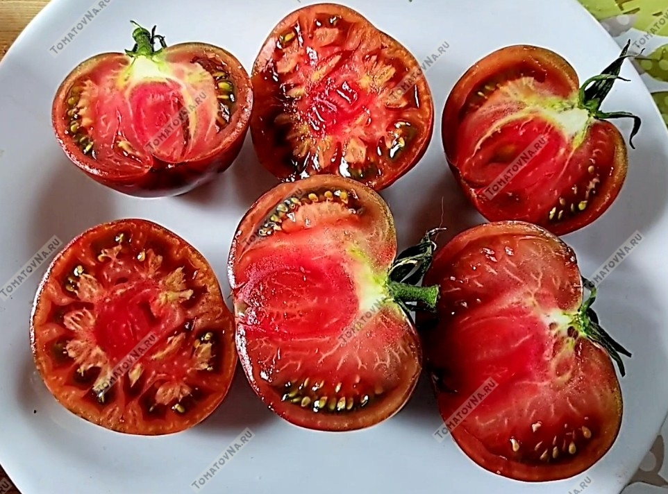 Томат ВЗИ Лунный свет Блейна. Описание сорта, видео. Семена