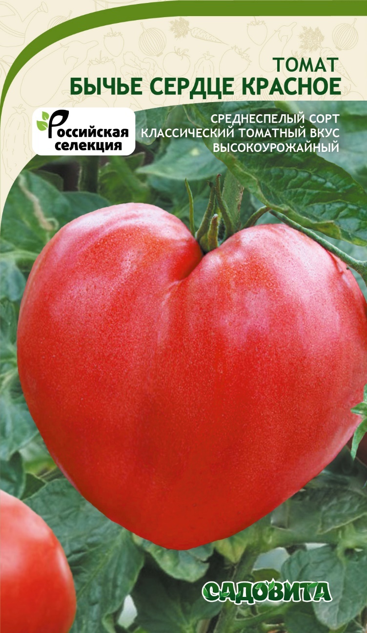 Семена Бычье Сердце Компакт Купить