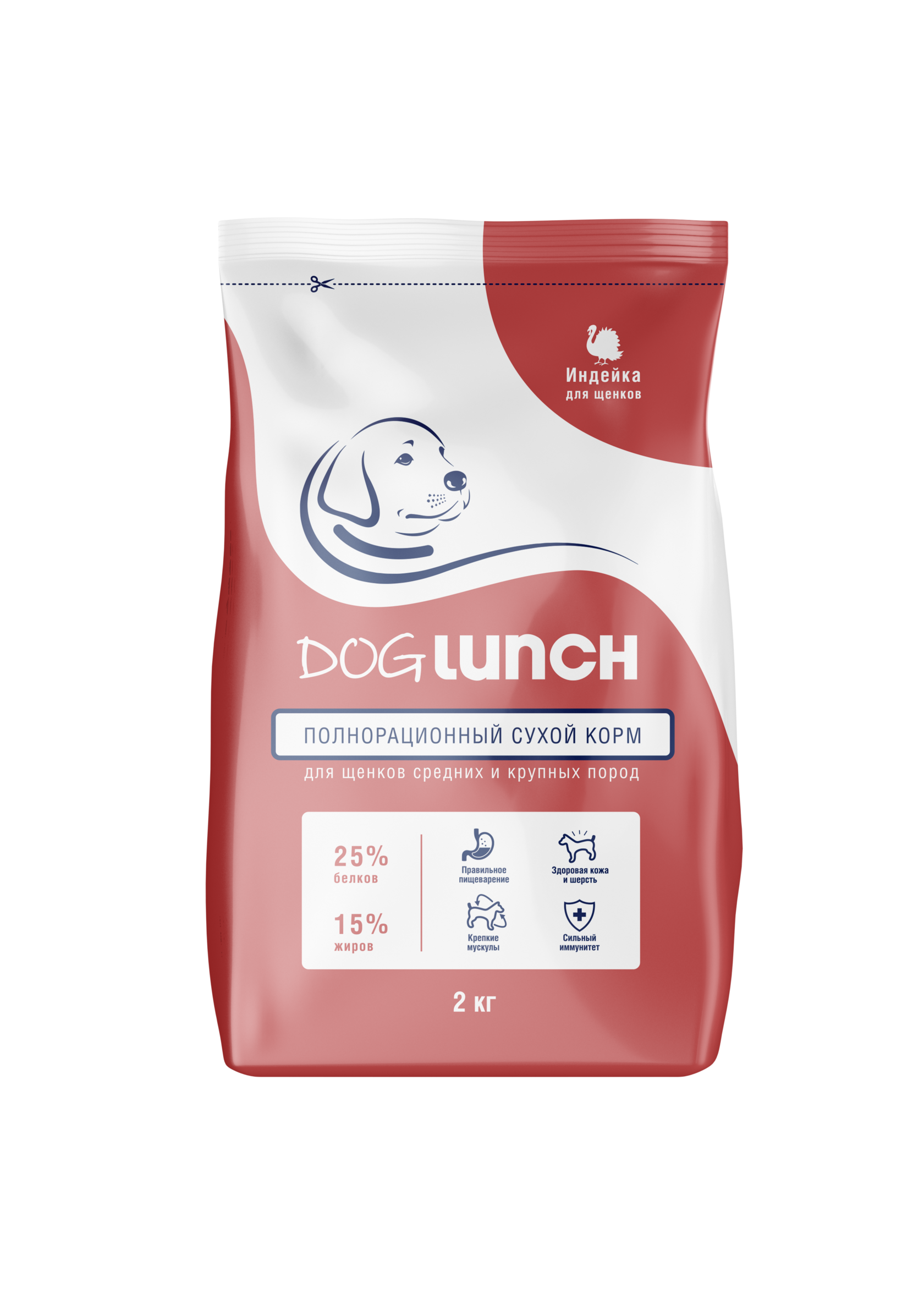 dog-lunch
