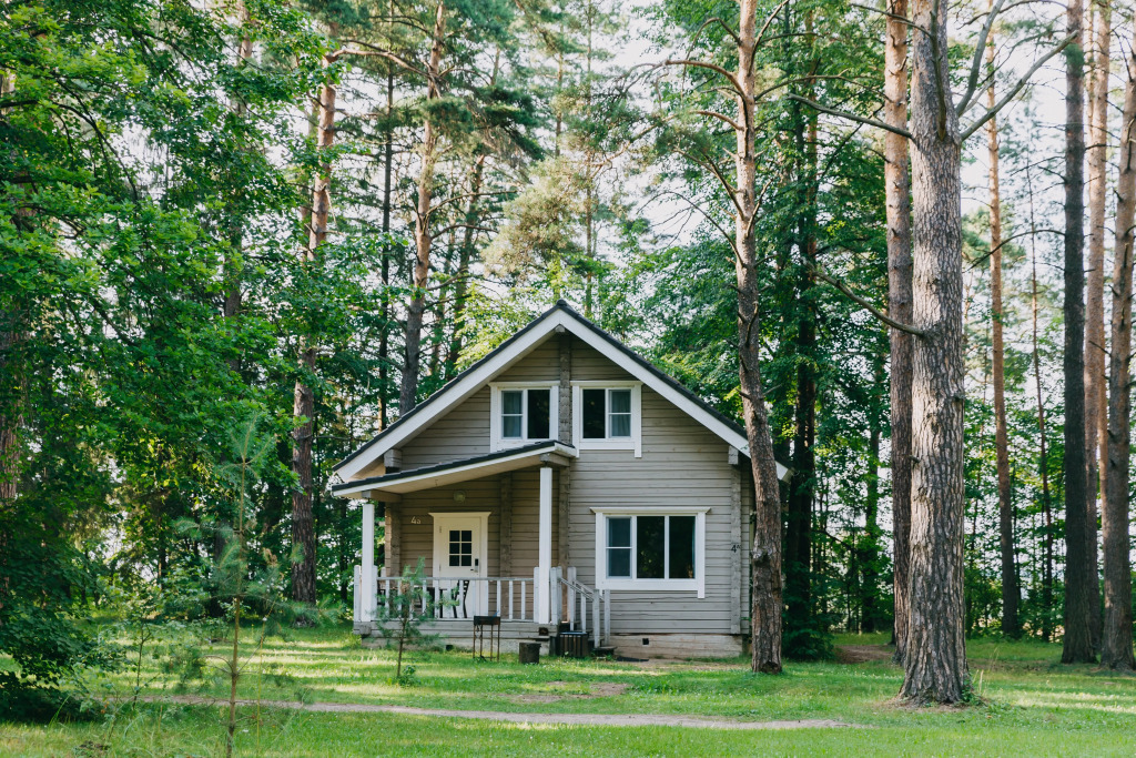 Comfort Pine River