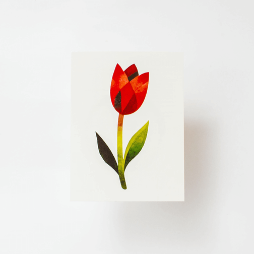 Hunter s tiny tulips