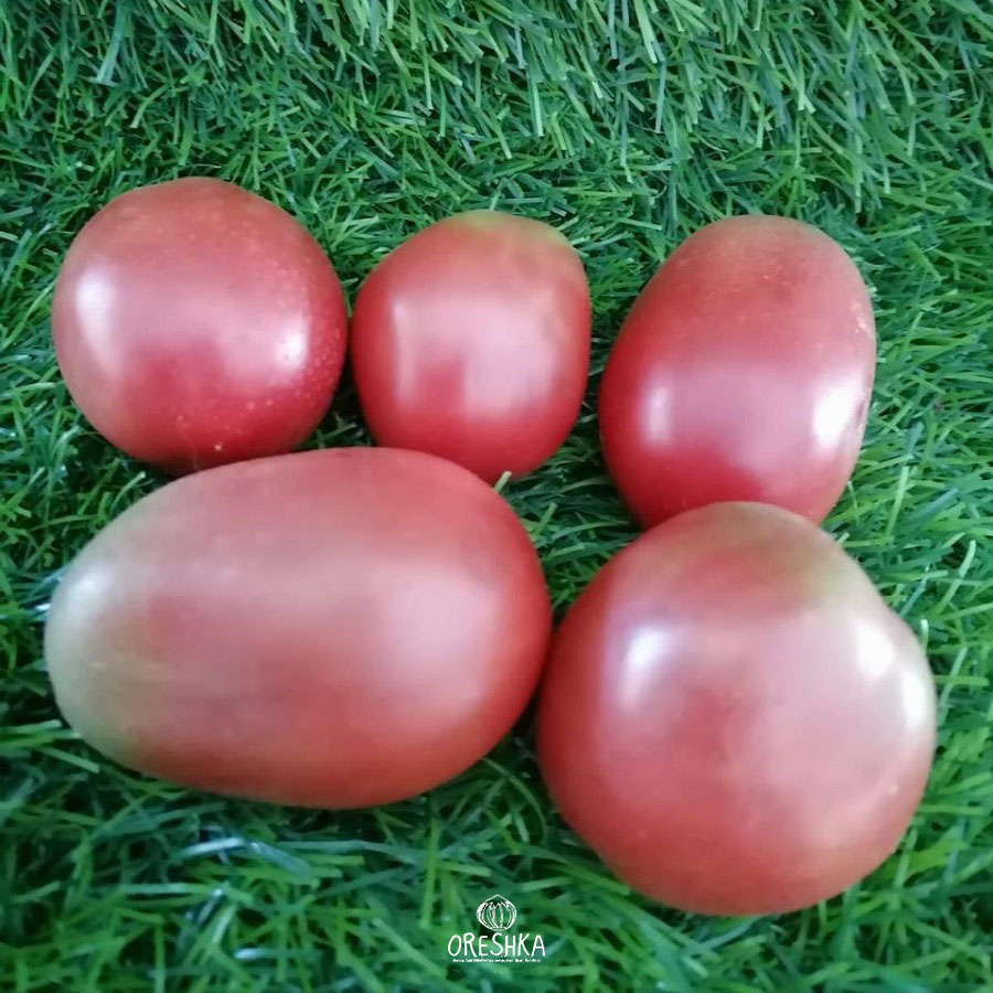 Seeds of Tomato Rosa de Pais (solanum lycopersicum) — 10 pcs