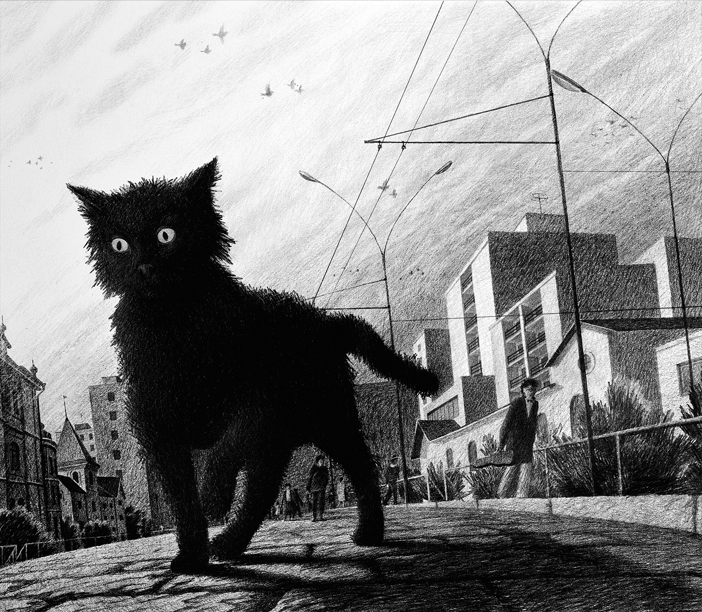 Black cat run. Коты Санджиев. Дмитрий Санджиев художник картины. Дворовый чёрный кот. Черный котенок на улице.