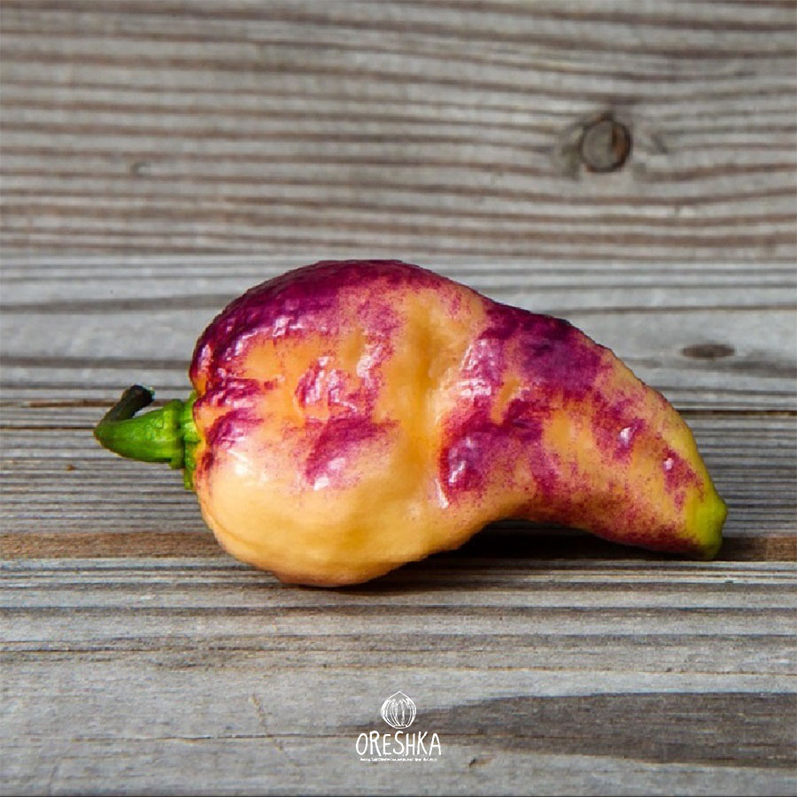 Seeds of Hot pepper Pockmark Peach (Capsicum) — 5 pcs