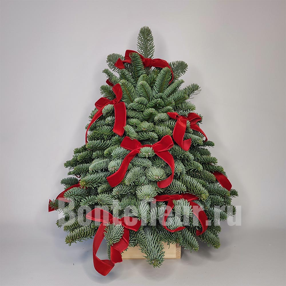 Ёлка из нобилиса с красными бантами