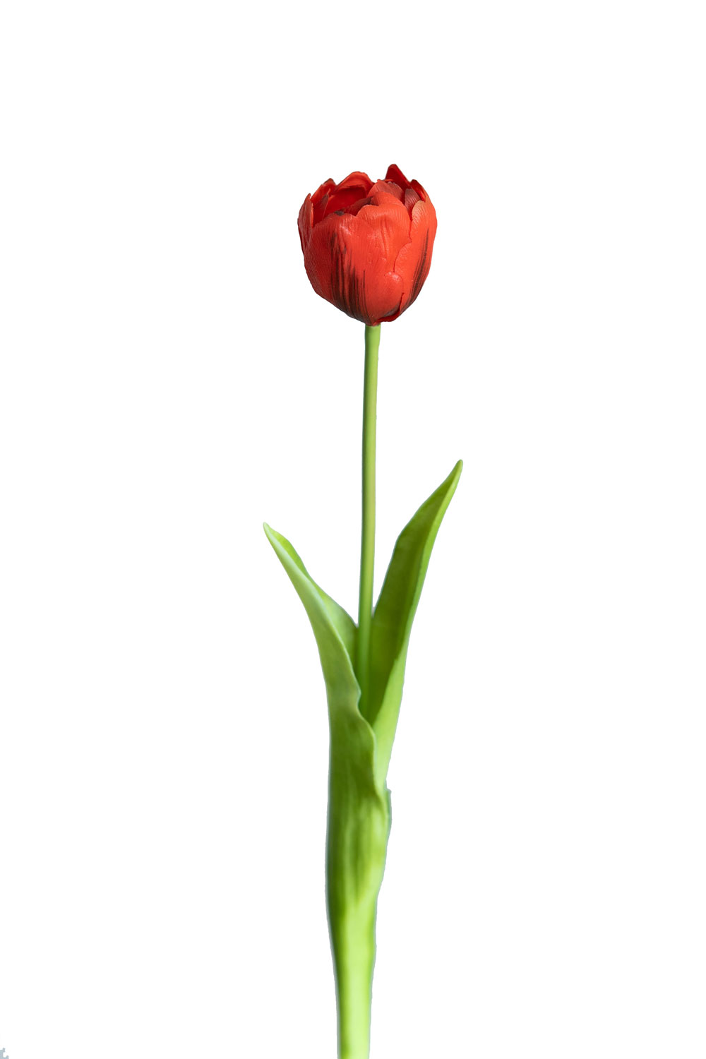 Тюльпан бокал - Магазин искусственных цветов №1