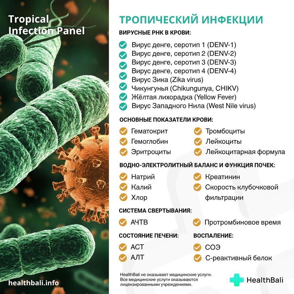 Панель тропических инфекций – Состав программы