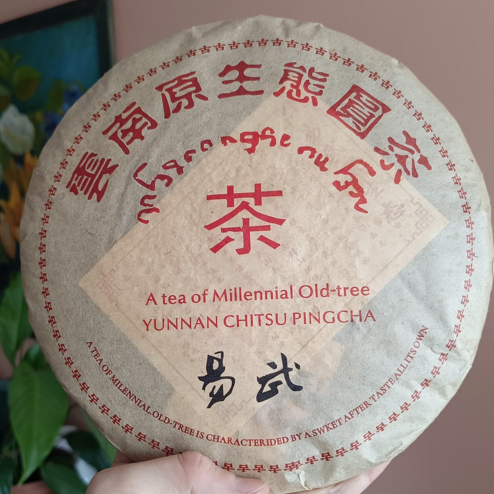 Шу Пуэр "Иу старое дерево"