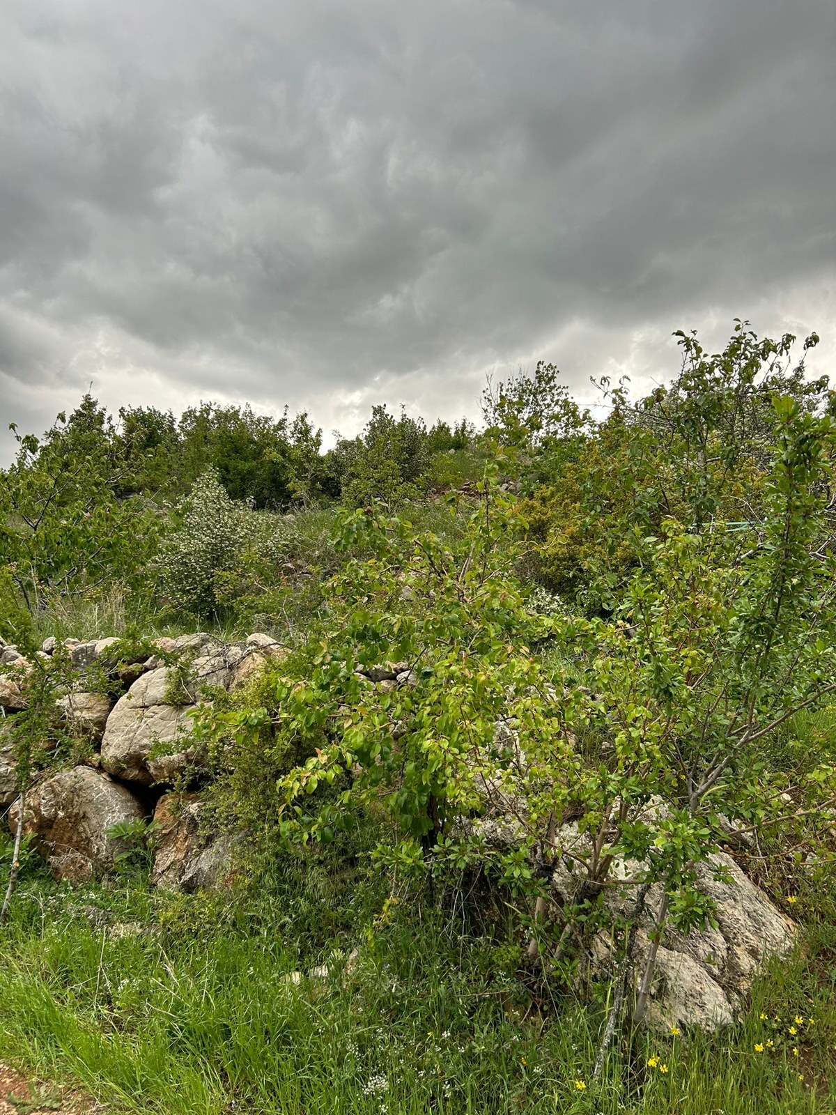 Gökbel Kadıyakası · 900 m² — zdjęcie 4