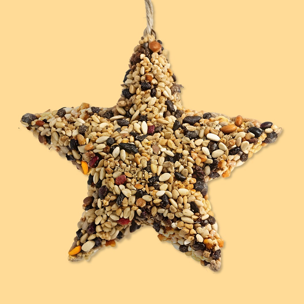 Эко-кормушки