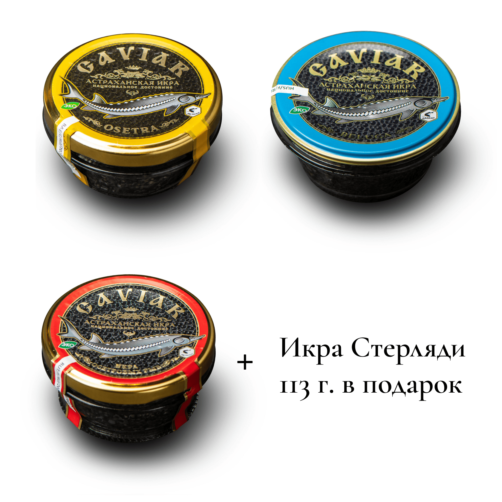 Морской Гребешок с Черной Икрой от Ивлева