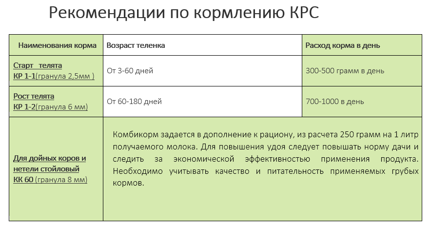 Комбикорм для КРС – это залог крепкого здоровья и развития поголовья – Мустанг Технологии Кормления