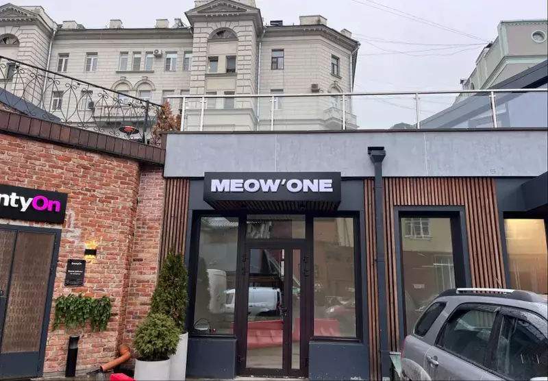 Вход в&nbsp;студию «Meow’One» с&nbsp;вывеской над дверью