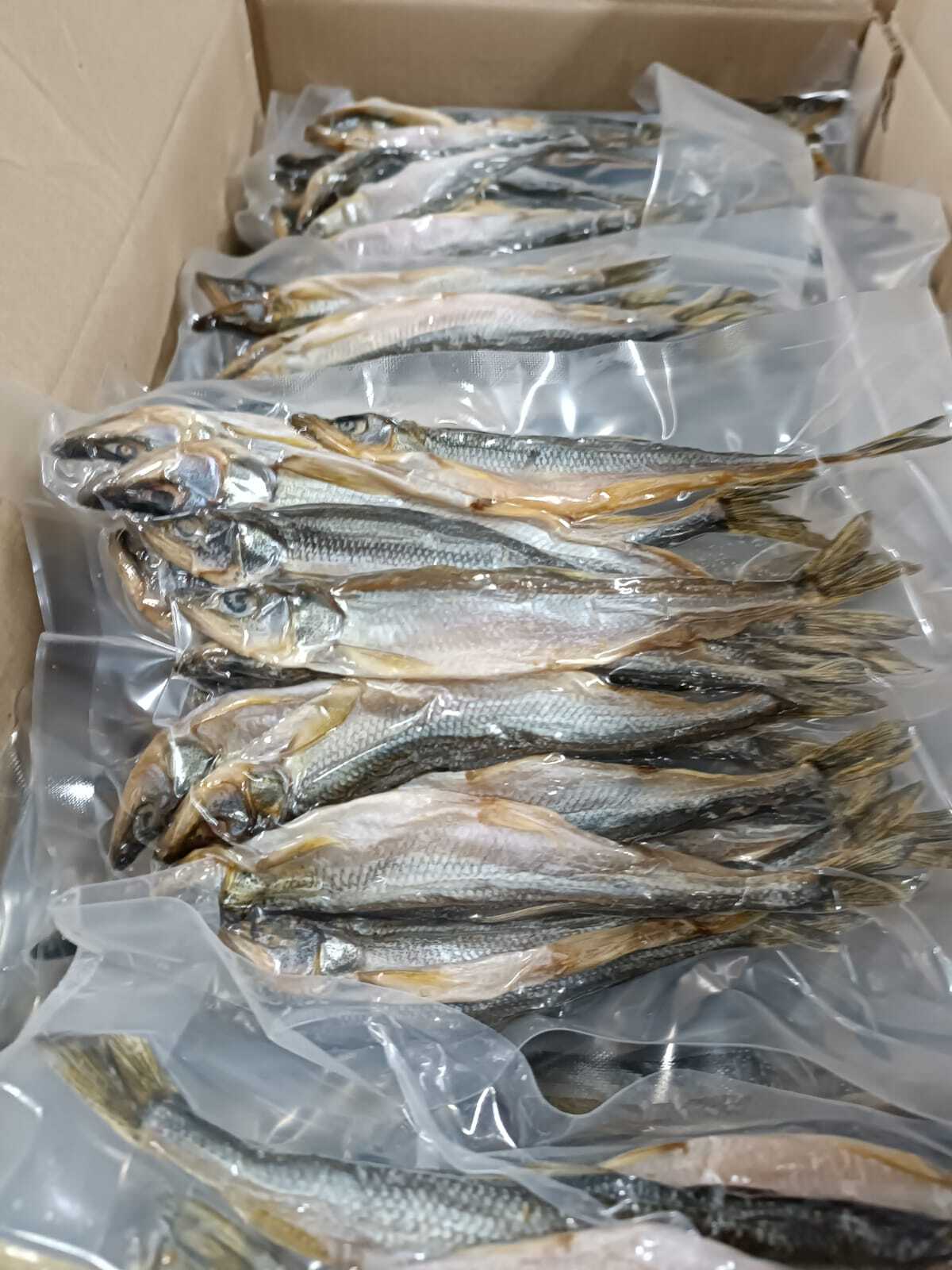 Корюшка вяленная икряная в/у фас 200/300/500гр - Замороженная