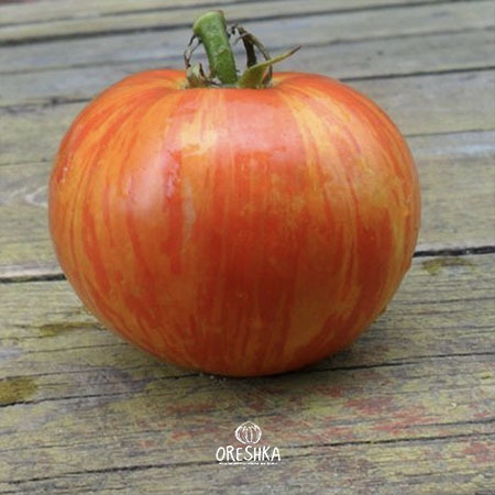 Seeds of Tomato Lush Queen (solanum lycopersicum) — 10 pcs