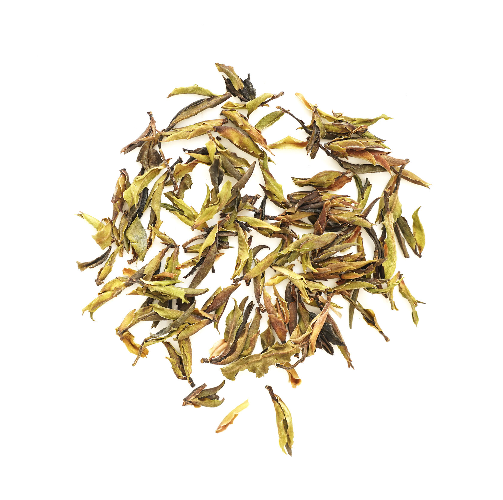 дикие почки с деревьев я бао е шэн гу шу 2025