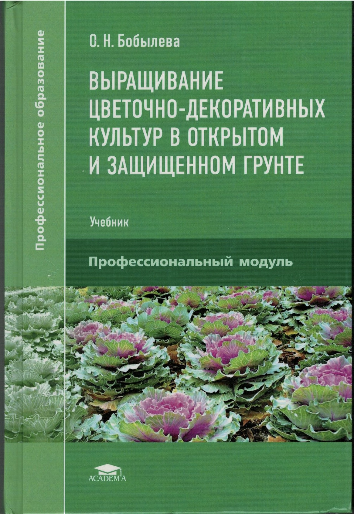 Выращивание цветочно декоративных культур в открытом грунте. Этапы посадки семян. Подготовка почвы для посева цветочных культур. Выращивание цветочно декоративных культур в открытом грунте. Выращивание цветочных культур это.