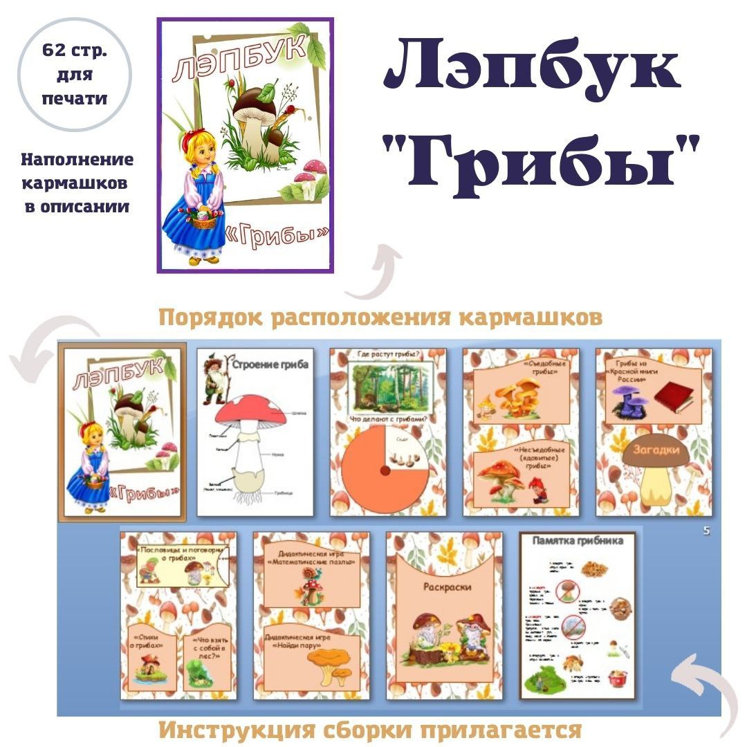 Лэпбук "Грибы"