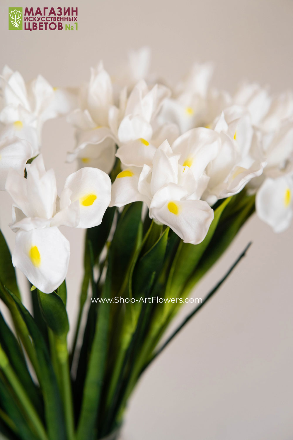 фото