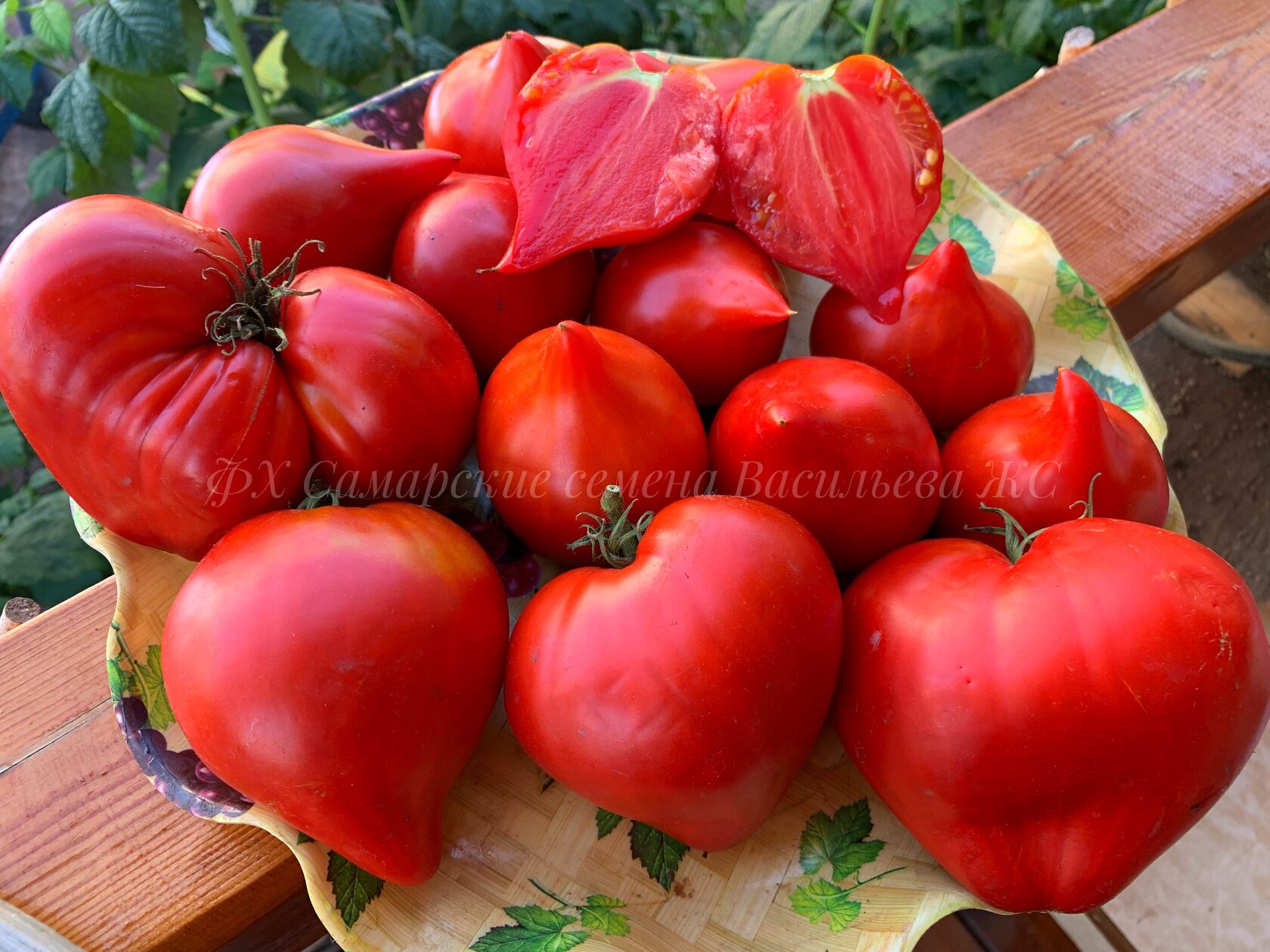 томат армянские