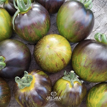 Seeds of Tomato Kryptonite (solanum lycopersicum) — 10 pcs
