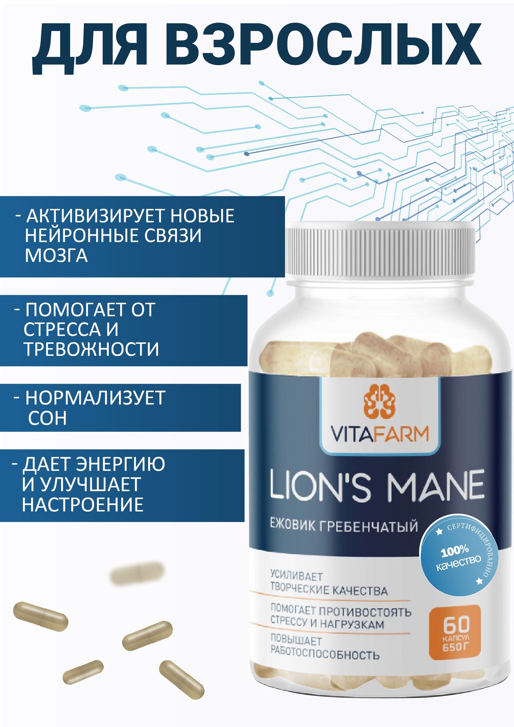 Ежевик Гребенчатый Lion S Mane Купить