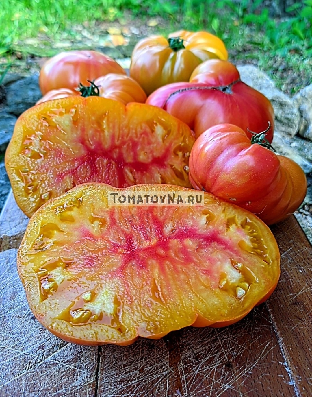 Томат Сладости Вирджинии семена